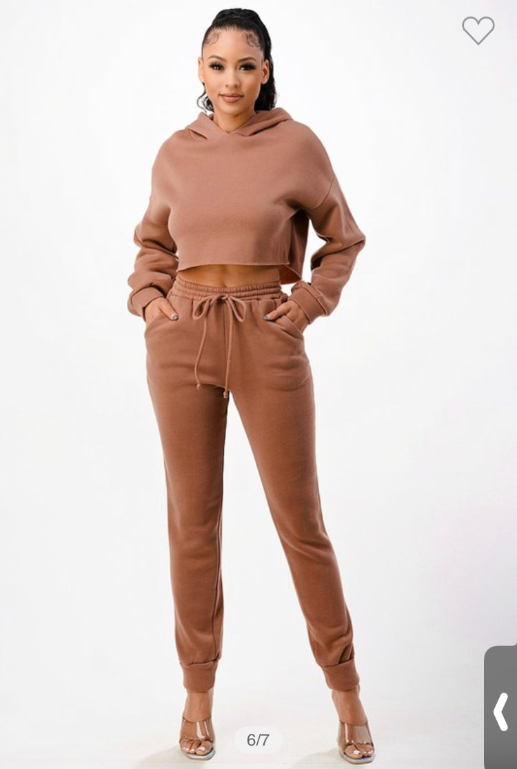 2 Piece Crop Hoodie set